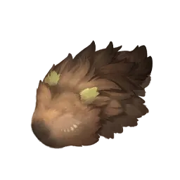 Fourrure de mastocéros bourgeonnant