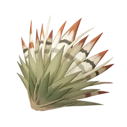 Fourrure de queue froufrou