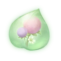 Essence de poudre de lapinerbe