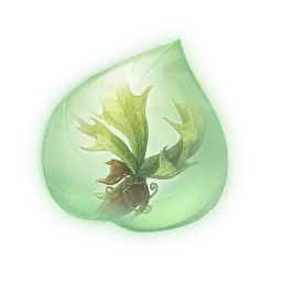 Essence de nœufougère