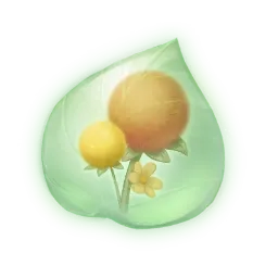 Essence de douce poudre