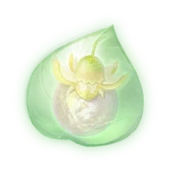 Essence de solagrume