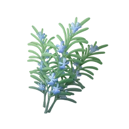 Brindarôme rafraîchissant