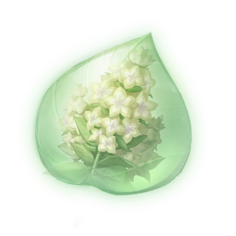 Essence de toute sonne blanche