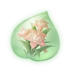 Essence de pouflore rose