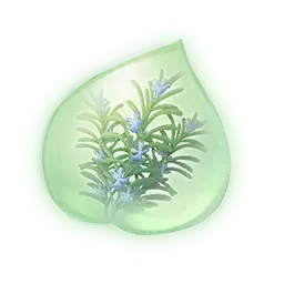 Essence de brindarôme rafraîchissant