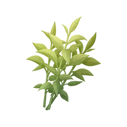 Thé parfumé verdoyant