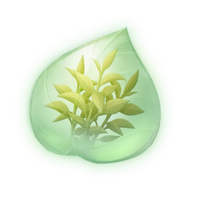 Essence de thé parfumé verdoyant