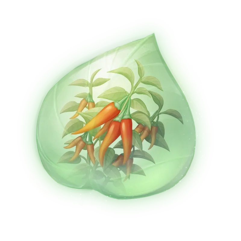 Essence de pimentine rouge