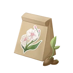 Graine d'orchidée climatique