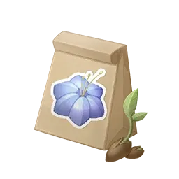 Graine de luminacée