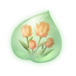 Essence de tulicoupe magenta