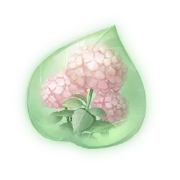 Essence de pompétale