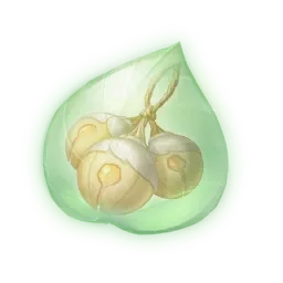 Essence de clochegrume jaune