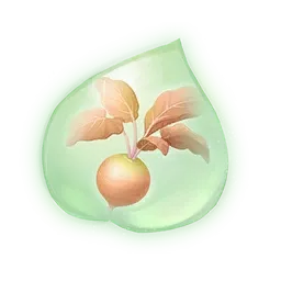 Essence de racine sucrée caramel