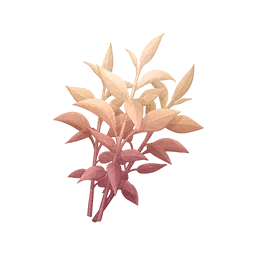 Thé parfumé vibrant