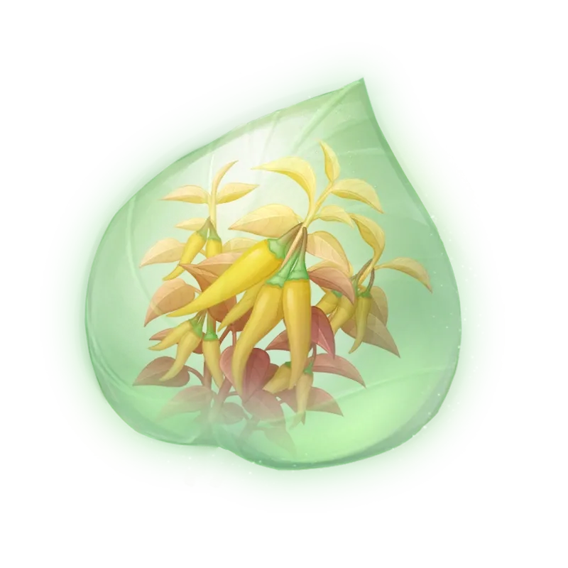 Essence de pimentine dorée