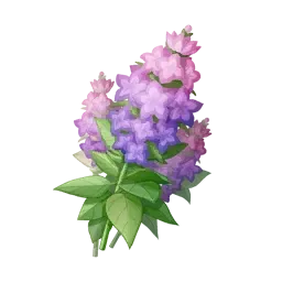 Toute sonne violette