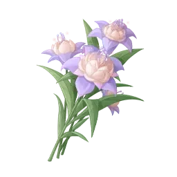 Pouflore crépusculaire bicolore