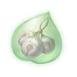 Essence de clochegrume rose