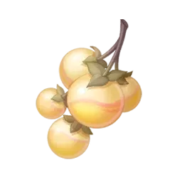 Fruit de nébugrumier vert brumeux