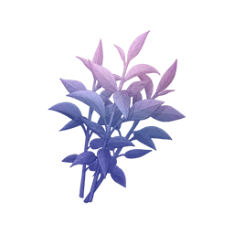 Thé parfumé nuit givrée