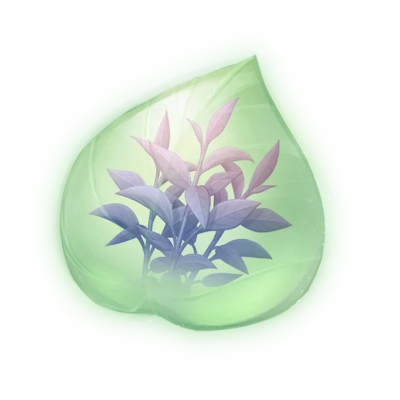 Essence de thé parfumé nuit givrée