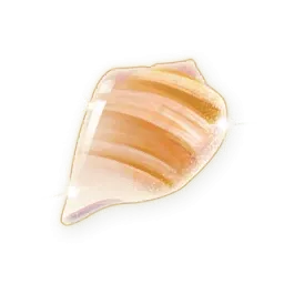 Petit cristal de coquille scintillant