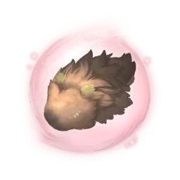 Essence de fourrure de mastocéros bourgeonnant