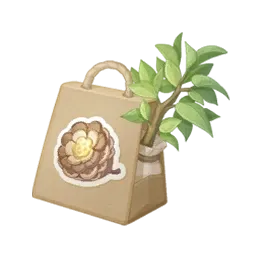 Graine de bouton de pin