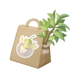 Graine de chronofeuille