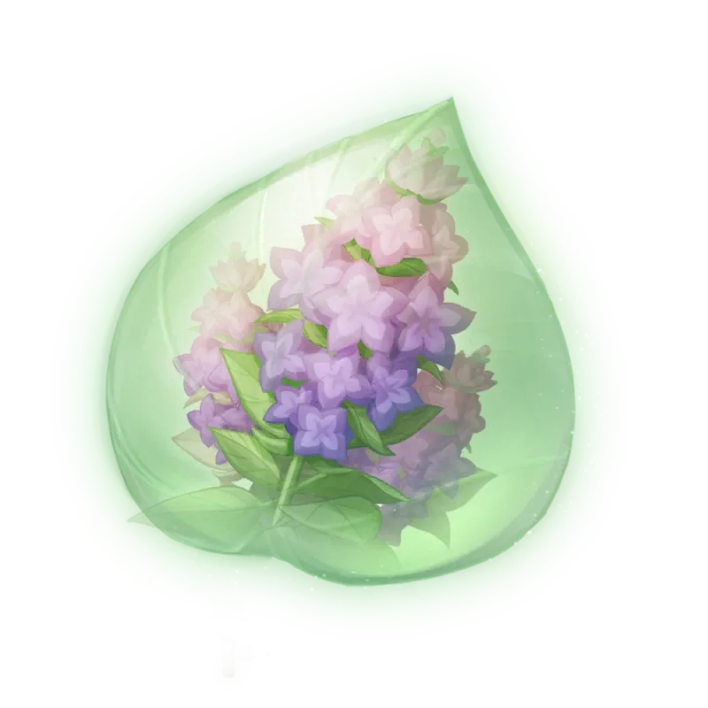 Essence de toute sonne violette