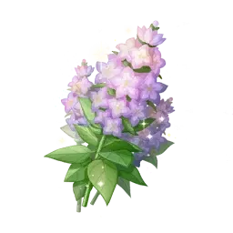 Toute sonne stellaire bicolore