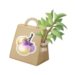 Graine de nébugrumier