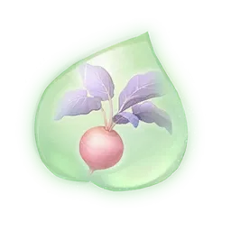 Essence de racine sucrée fruitée