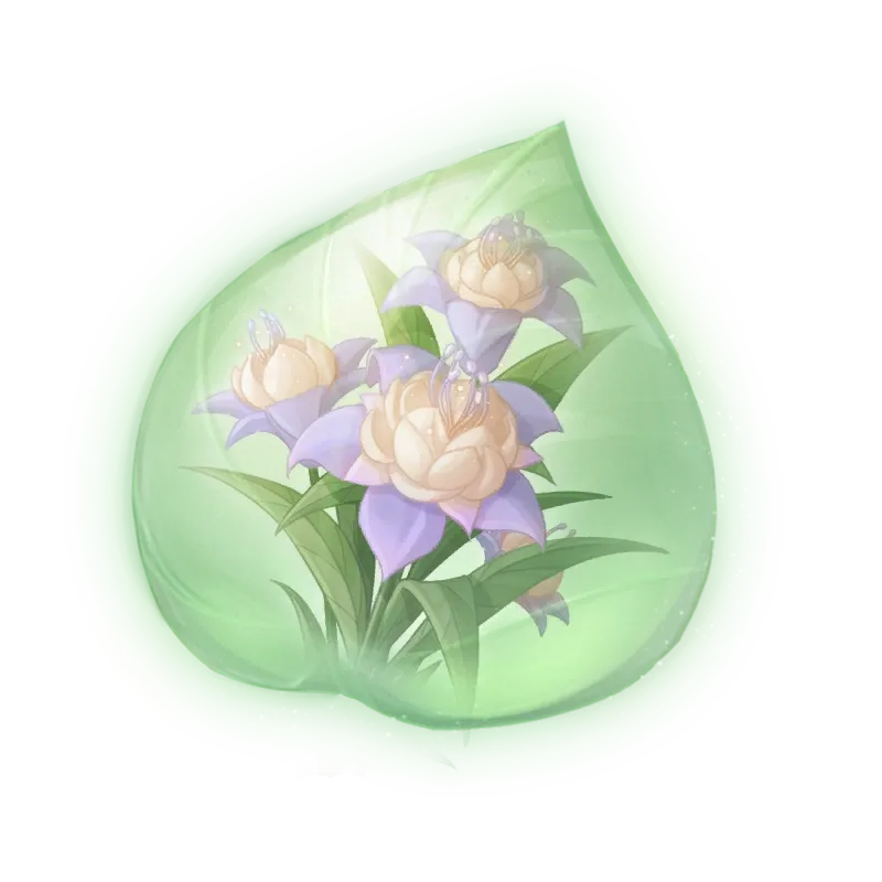 Essence de pouflore crépusculaire bicolore