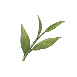 Mélodie bourgeonnante