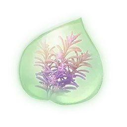 Essence de brindarôme fruité