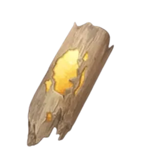 Fragment d'ébénambre